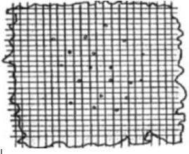 Dispersed Sheet Land Use pattern