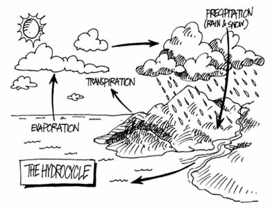 Hydrological Cycle