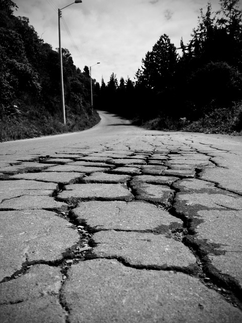 Alligator Cracks in Road