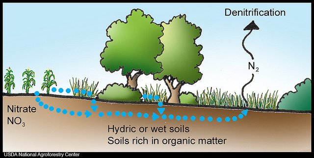 DeNitrification