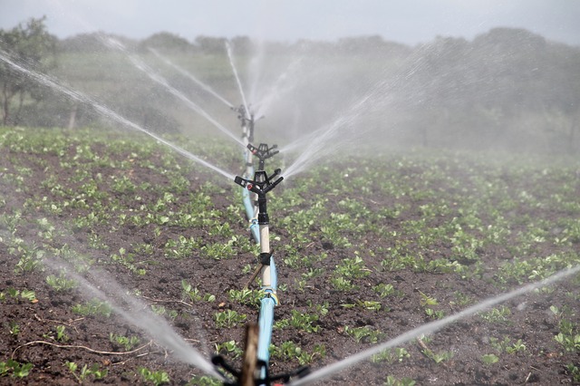 Surface Irrigation