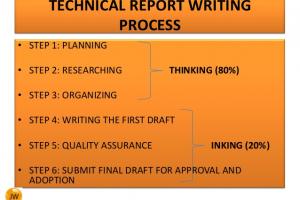 Small Dam Technical Report 