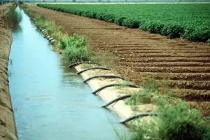 Effects of Canal Irrigation