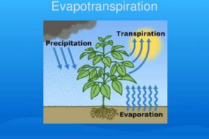 Evapotranspiration