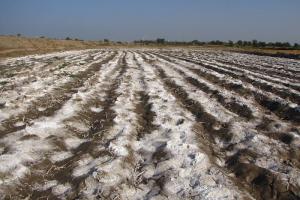 Water Logging & Salinity in Pakistan