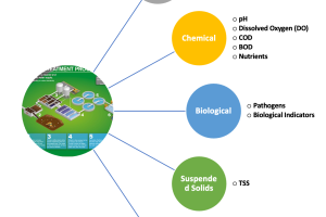 Composition of Wastewater